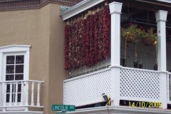 photo14