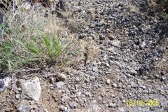 photo42