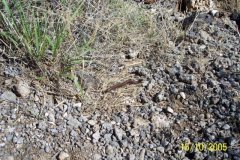 photo43