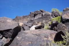 photo46