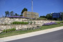 photo1