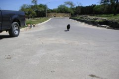 photo30